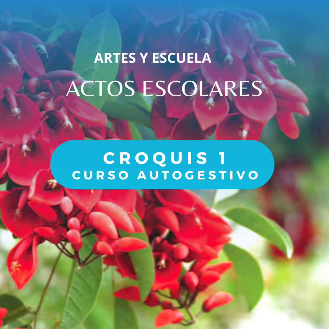 CROQUIS I - Nivel inicial y 1° Ciclo/ 1º cuatrimestre